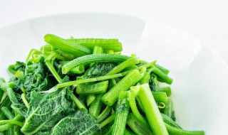 立夏过了种哪些蔬菜 立夏过了种什么蔬菜
