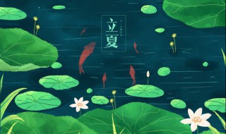 立夏之后饮食有哪些注意事项 关于立夏的由来