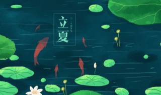 立夏这天可以种的菜有什么 立夏这天可以种什么菜