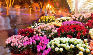 如何养护水仙花 水仙花的养殖方法及其注意事项