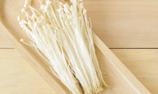 金针菇的介绍 金针菇属于什么类的植物