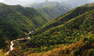 中条山介绍 中条山在哪个省哪个市哪个县
