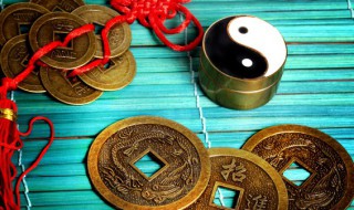 麒麟花风水中应摆放在哪个位置好 麒麟花风水中应摆放在什么位置好