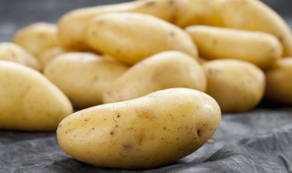 土豆小盆栽怎么种植 土豆小盆栽的种植方法