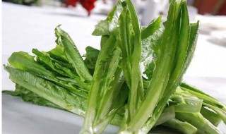 叶子菜如何保存 叶子菜怎么保存