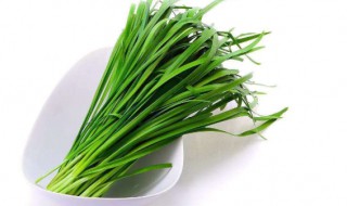 韭菜怎么种植方法 韭菜怎么栽
