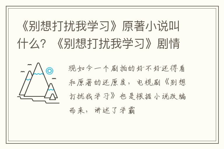 《别想打扰我学习》剧情介绍 《别想打扰我学习》原著小说叫什么