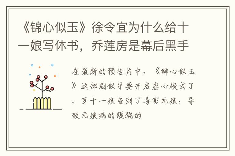 乔莲房是幕后黑手吗 《锦心似玉》徐令宜为什么给十一娘写休书