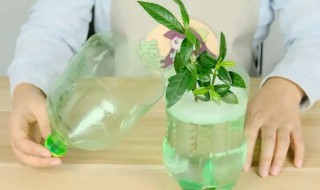 养花要不要换水 养花要换水吗