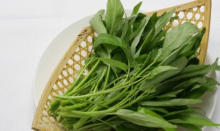 家庭种菜防虫有什么方法 求家庭种菜防虫方法