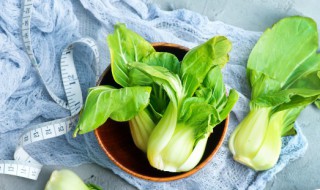 青菜的简介 青菜是不是属于十字花科植物