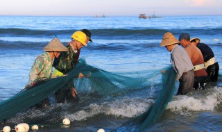 山区冷水适合养什么鱼 冷水适合养什么鱼