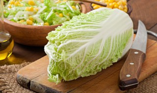 大白菜的播种方法 白菜播种方法