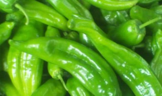 菜椒几月份播种 菜椒什么时候播种