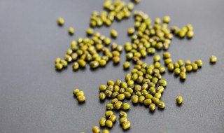 绿豆什么时候播种 什么时候收获 绿豆什么时候播种