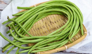 豆角什么时候播种最好自家种 豆角什么时候播种最好