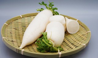冬季萝卜种植方法 冰萝卜怎么栽培