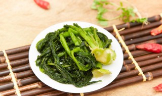 四九菜心什么时候移栽 四九菜心什么时候播种