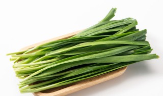 韭菜的种植方法和技术 韭菜的栽培的方法