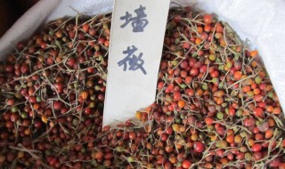 蔷薇花种子种植方法和注意事项 蔷薇花种子栽培方法