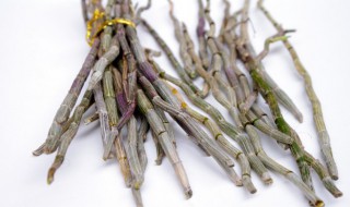 黄草石斛种植方法 黄石斛栽培方法