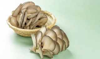 平菇栽培技术完整版平菇技术 平菇栽培方法