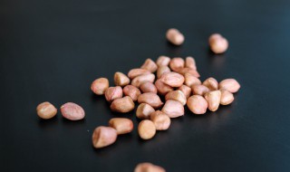 花生芽无土种植技术 无土栽培花生芽菜多种方法