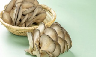 食用菌的栽培方法 食用菌栽培技术及方法