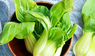 油麦菜的栽培技术与方法 小麦和油菜怎么栽培