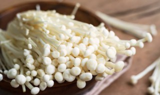 金针菇如何栽培 金针菇怎么栽培