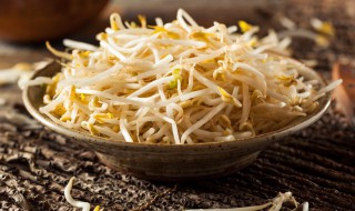 种植绿豆芽的方法与步骤 栽种绿豆芽需要注意什么