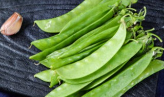 北方荷兰豆什么时候种 荷兰豆什么时候种