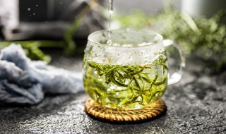 茶叶种子什么时候种 茶树种子什么时候种