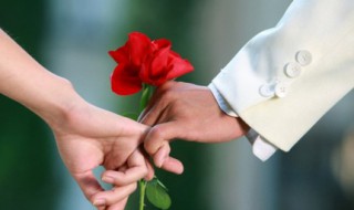 啥时候把花搬进室内 花什么时候搬进室内