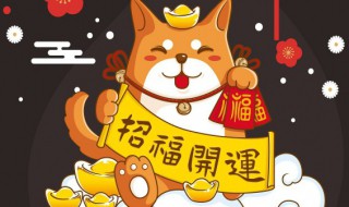 招财猫放哪里有讲究吗 招财猫放家里什么讲究