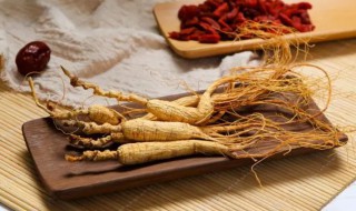 人参种子怎么催芽催芽 人参种子怎么催芽