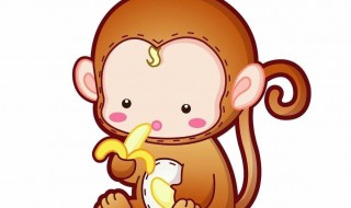 普通的猴子是国家保护动物吗 猴子是国家保护动物吗