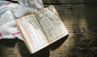 家里面有燕子窝代表什么 家里有燕子窝象征什么