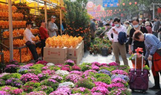 花一天浇多少次水 花一天浇几次水什么时间