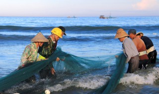 水产养殖冬季注意事项 11月份水产养殖注意事项