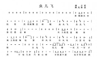 虫儿飞歌词完整版 虫儿飞歌词