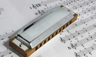 燕子歌曲简介 燕子歌词
