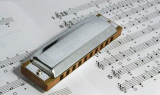 再也不能这样活的歌词 再也不能这样活原唱