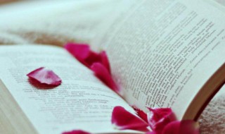 夏茗悠是谁 夏茗悠作品