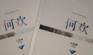 何欢小说介绍 何欢小说简介