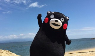 日本熊玩偶叫什么名字 日本熊玩偶叫什么
