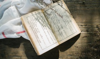 明朝几品官可以上朝 明朝推官几品