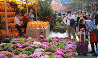 不住人的房子适合养什么花 家里不住人怎么养花