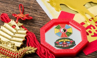 河南家里适合种什么树 河南院子里种最旺家的树