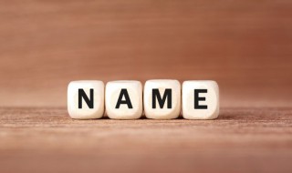 鼠年李姓名字90分以上的 管姓名字90分以上的鼠年